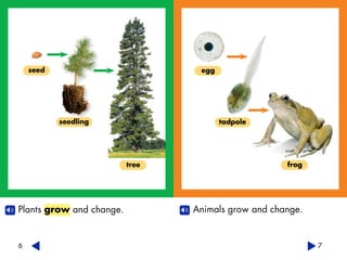 Plants grow and change. 
6 
seed 
seedling 
tree 
7 
egg 
tadpole 
frog 
Animals grow and change. 
 