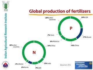 IndianAgriculturalResearchInstitute
Global production of fertilizers
N
P
Source: IFA
 