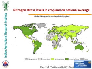 IndianAgriculturalResearchInstitute
Liu J et al. PNAS 2010;107:8035-8040
Nitrogen stress levels in cropland on national average
 