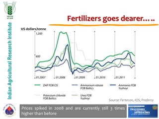 IndianAgriculturalResearchInstitute
Prices spiked in 2008 and are currently still 3 times
higher than before
Fertilizers goes dearer…..
Source: Fertecon, ICIS, Profercy
US dollars/tonne
 