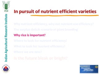IndianAgriculturalResearchInstitute
In pursuit of nutrient efficient varieties
Why nutrient efficiency, why not nutrient use efficiency?
The surplus-deficit scenario of plant breeding
Why rice is important?
Where to look for nutrient efficiency?
What to look for nutrient efficiency?
Where we are now?
Is the future bleak or bright?
 