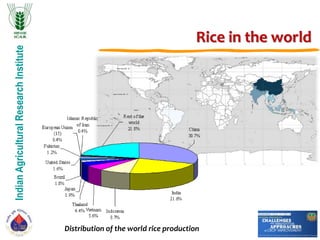IndianAgriculturalResearchInstitute
Distribution of the world rice production
Rice in the world
 