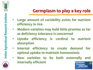 IndianAgriculturalResearchInstitute
Germplasm to play a key role
• Large amount of variability exists for nutrient
efficiency in rice
• Modern varieties may hold little promise as far
as deficiency tolerance is concerned
• Uptake efficiency is cardinal to nutrient
absorption
• Internal efficiency to create demand for
optimal uptake to maintain homeostasis
• New varieties to be both externally and
internally efficient
 