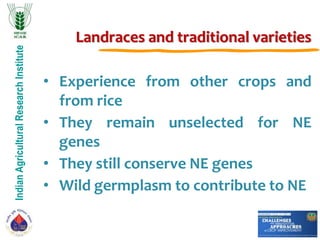 IndianAgriculturalResearchInstitute
Landraces and traditional varieties
• Experience from other crops and
from rice
• They remain unselected for NE
genes
• They still conserve NE genes
• Wild germplasm to contribute to NE
 