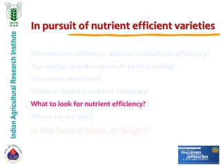 IndianAgriculturalResearchInstitute
In pursuit of nutrient efficient varieties
Why nutrient efficiency, why not nutrient use efficiency?
The surplus-deficit scenario of plant breeding
Why rice is important?
Where to look for nutrient efficiency?
What to look for nutrient efficiency?
Where we are now?
Is the future bleak or bright?
 