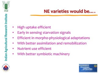 IndianAgriculturalResearchInstitute
NE varieties would be….
• High uptake efficient
• Early in sensing starvation signals
• Efficient in morpho-physiological adaptations
• With better assimilation and remobilization
• Nutrient use efficient
• With better symbiotic machinery
 