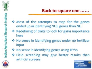IndianAgriculturalResearchInstitute
Back to square one ……
 Most of the attempts to map for the genes
ended up in identifying NUE genes than NE
 Redefining of traits to look for gains importance
here
 No sense in identifying genes under no fertilizer
input
 No sense in identifying genes using HYVs
 Field screening may give better results than
artificial screens
 
