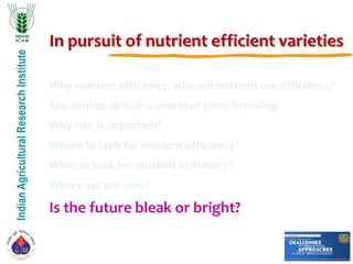 IndianAgriculturalResearchInstitute
In pursuit of nutrient efficient varieties
Why nutrient efficiency, why not nutrient use efficiency?
The surplus-deficit scenario of plant breeding
Why rice is important?
Where to look for nutrient efficiency?
What to look for nutrient efficiency?
Where we are now?
Is the future bleak or bright?
 