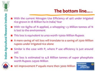 IndianAgriculturalResearchInstitute
The bottom line….
With the current Nitrogen Use Efficiency of 40% under irrigated
rice grown in 18 Million ha in India/ Year
With 120 Kg/ha of N applied, a whopping 1.3 Million tonnes of N
is lost to the environment
This loss is equivalent to urea worth 1500o Million Rupees
A mere saving of 10% loss will translate to a saving of 2500 Million
rupees under irrigated rice alone
Similar is the case with P, where P use efficiency is just around
20%
The loss is estimated to 4.8 Million tonnes of super phosphate
worth Rupees 24500 Million
10% improvement P equals more then 3000 Million
 