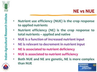 IndianAgriculturalResearchInstitute
NE vs NUE
• Nutrient use efficiency (NUE) is the crop response
to applied nutrients
• Nutrient efficiency (NE) is the crop response to
total nutrients – applied and native
• NUE is a function of increased nutrient input
• NE is relevant to decrement in nutrient input
• NE is associated to nutrient deficiency
• NUE is associated to nutrient sufficiency
• Both NUE and NE are genetic, NE is more complex
than NUE
 
