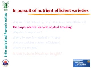 IndianAgriculturalResearchInstitute
In pursuit of nutrient efficient varieties
Why nutrient efficiency, why not nutrient use efficiency?
The surplus-deficit scenario of plant breeding
Why rice is important?
Where to look for nutrient efficiency?
What to look for nutrient efficiency?
Where we are now?
Is the future bleak or bright?
 