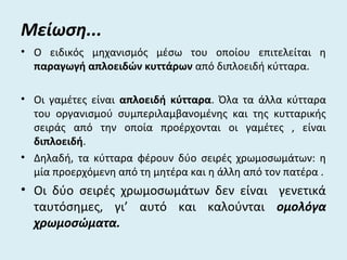 Μείωση...
• Ο ειδικός μηχανισμός μέσω του οποίου επιτελείται η
παραγωγή απλοειδών κυττάρων από διπλοειδή κύτταρα.
• Οι γαμέτες είναι απλοειδή κύτταρα. Όλα τα άλλα κύτταρα
του οργανισμού συμπεριλαμβανομένης και της κυτταρικής
σειράς από την οποία προέρχονται οι γαμέτες , είναι
διπλοειδή.
• Δηλαδή, τα κύτταρα φέρουν δύο σειρές χρωμοσωμάτων: η
μία προερχόμενη από τη μητέρα και η άλλη από τον πατέρα .
• Οι δύο σειρές χρωμοσωμάτων δεν είναι γενετικά
ταυτόσημες, γι’ αυτό και καλούνται ομολόγα
χρωμοσώματα.
 
