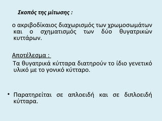 Σκοπός της μίτωσης :
ο ακριβοδίκαιος διαχωρισμός των χρωμοσωμάτων
και ο σχηματισμός των δύο θυγατρικών
κυττάρων.
Αποτέλεσμα :
Τα θυγατρικά κύτταρα διατηρούν το ίδιο γενετικό
υλικό με το γονικό κύτταρο.
• Παρατηρείται σε απλοειδή και σε διπλοειδή
κύτταρα.
 