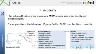 The Study
• Can unbiased RNASeq produce complete FMDV genome sequences directly from
clinical samples?
• 3 strong positive...