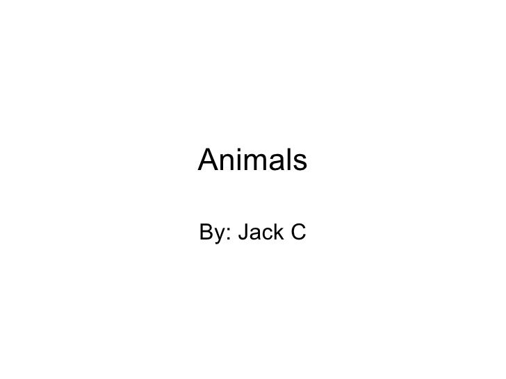 K 1 Animals I Like