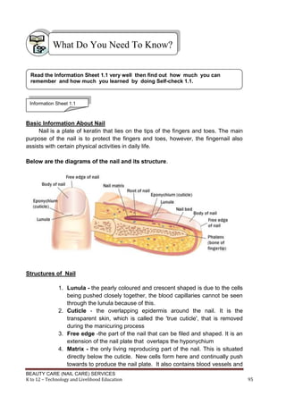 BEAUTY CARE (NAIL CARE) SERVICES
K to 12 – Technology and Livelihood Education 95
Basic Information About Nail
Nail is a plate of keratin that lies on the tips of the fingers and toes. The main
purpose of the nail is to protect the fingers and toes, however, the fingernail also
assists with certain physical activities in daily life.
Below are the diagrams of the nail and its structure.
Structures of Nail
1. Lunula - the pearly coloured and crescent shaped is due to the cells
being pushed closely together, the blood capillaries cannot be seen
through the lunula because of this.
2. Cuticle - the overlapping epidermis around the nail. It is the
transparent skin, which is called the 'true cuticle', that is removed
during the manicuring process
3. Free edge -the part of the nail that can be filed and shaped. It is an
extension of the nail plate that overlaps the hyponychium
4. Matrix - the only living reproducing part of the nail. This is situated
directly below the cuticle. New cells form here and continually push
towards to produce the nail plate. It also contains blood vessels and
What Do You Need To Know?
Read the Information Sheet 1.1 very well then find out how much you can
remember and how much you learned by doing Self-check 1.1.
Information Sheet 1.1
 
