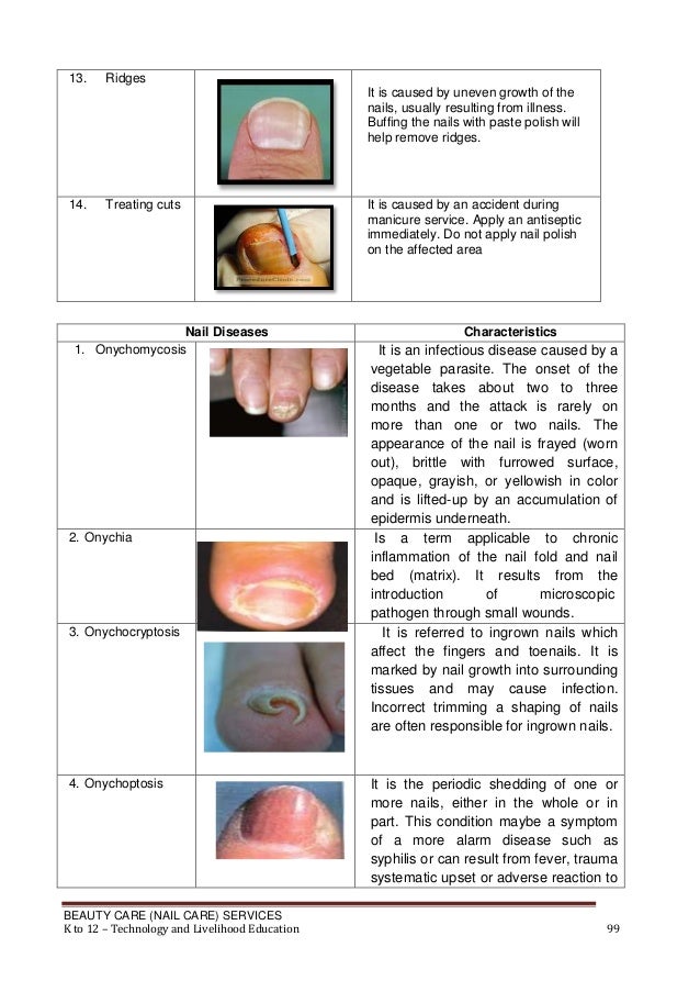 K to 12 nail care learning module