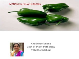 Khushboo Dubey
Dept of Plant Pathology
TMU,Moradabad
MANAGING FOLIAR DISEASES
 