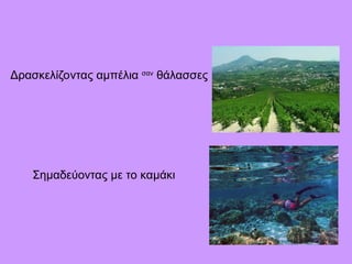 Δρασκελίζοντας αμπέλια σαν
θάλασσες
Σημαδεύοντας με το καμάκι
 