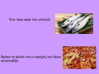 Ένα τάμα ψάρι που γλιστρά
Βρήκα τα φύλλα που ο ψαλμός του ήλιου
αποστηθίζει
 