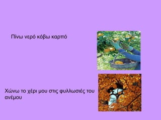 Πίνω νερό κόβω καρπό
Χώνω το χέρι μου στις φυλλωσιές του
ανέμου
 