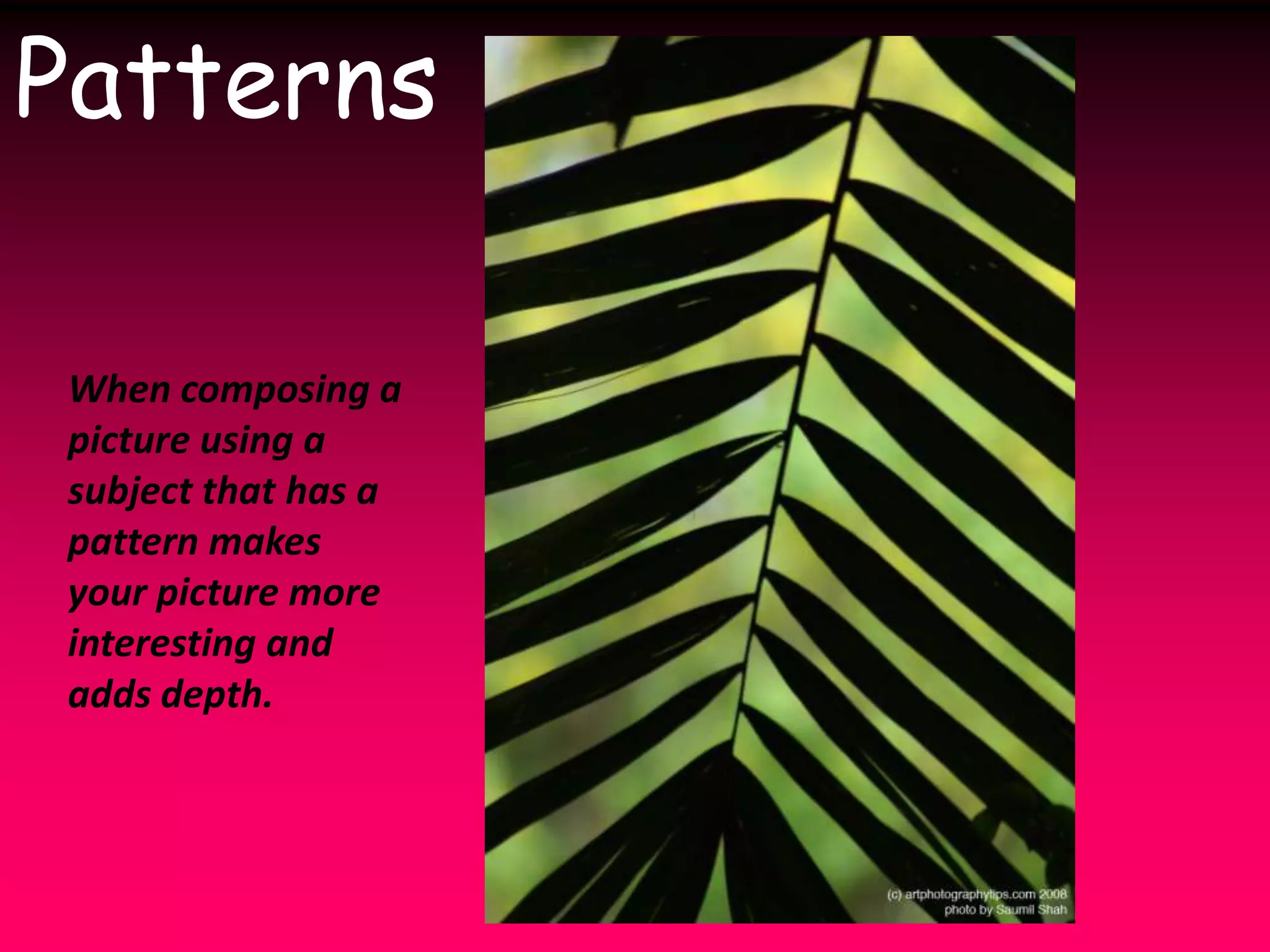 PatternsWhen composing a picture using a subject that has a pattern makes your picture more interesting and adds depth.