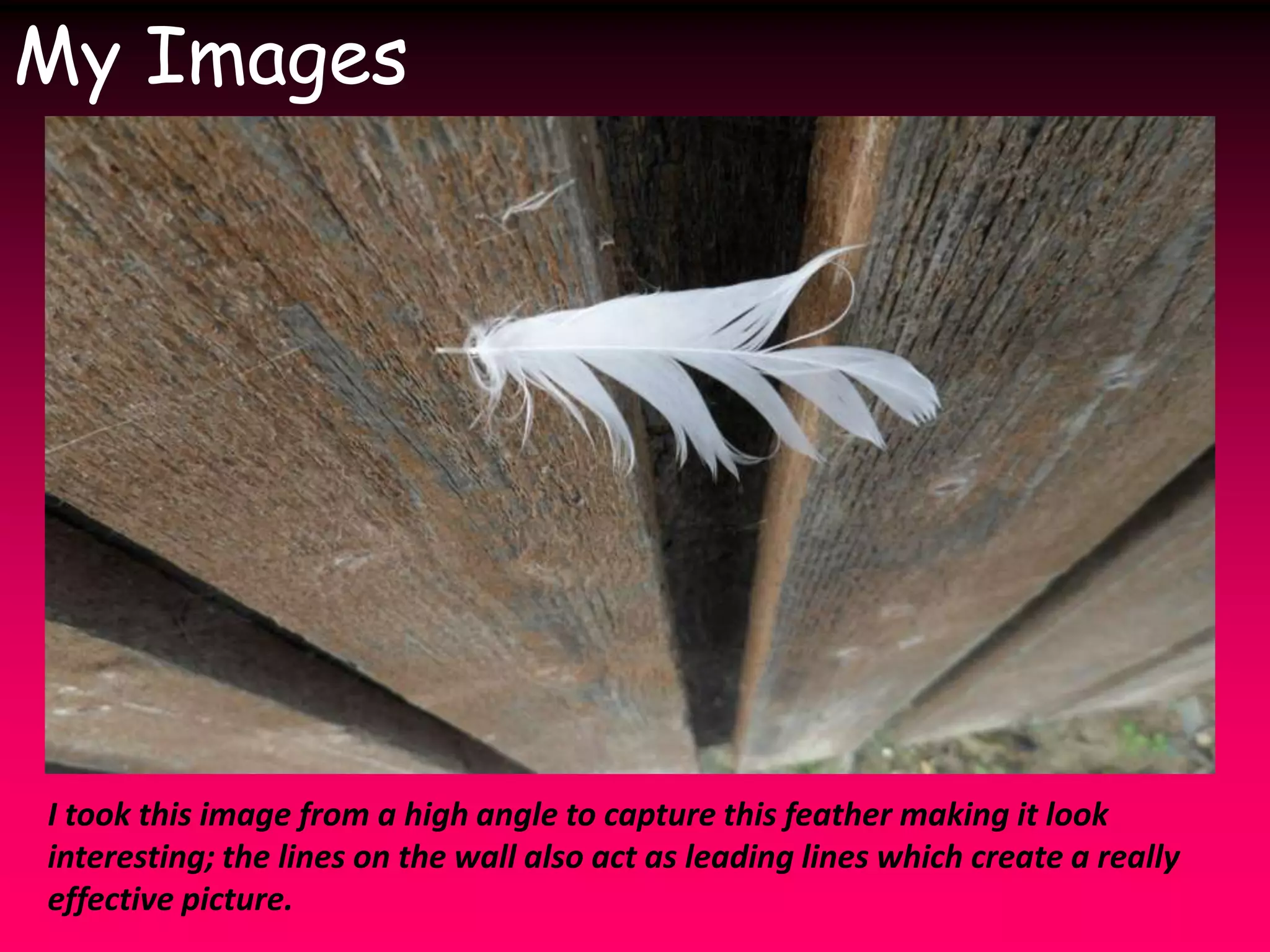 My ImagesI took this image from a high angle to capture this feather making it look interesting; the lines on the wall also act as leading lines which create a really effective picture.