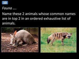 Fauna ….
Name these 2 animals whose common names
are in top 2 in an ordered exhaustive list of
animals.
10
 