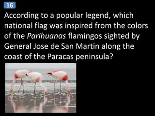 According to a popular legend, which
national flag was inspired from the colors
of the Parihuanas flamingos sighted by
General Jose de San Martin along the
coast of the Paracas peninsula?
16
 