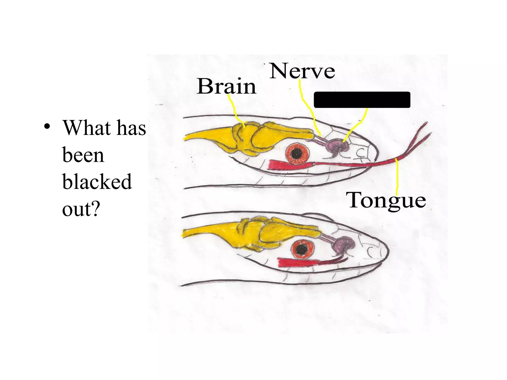 • What has
  been
  blacked
  out?
 