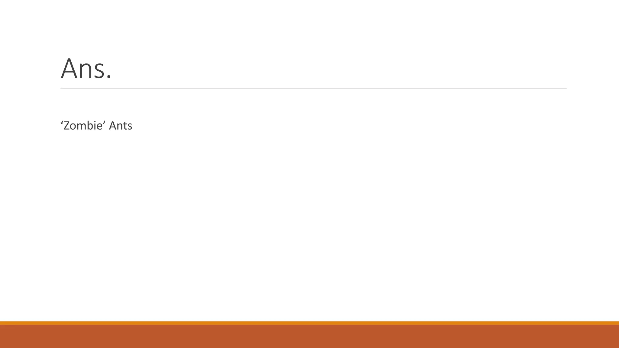Ans.
‘Zombie’ Ants
 