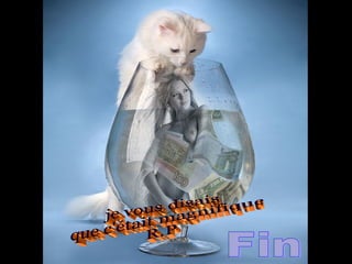 Fin je vous disais que c'était magnifique R.P