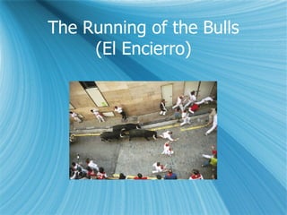The Running of the Bulls (El Encierro) 