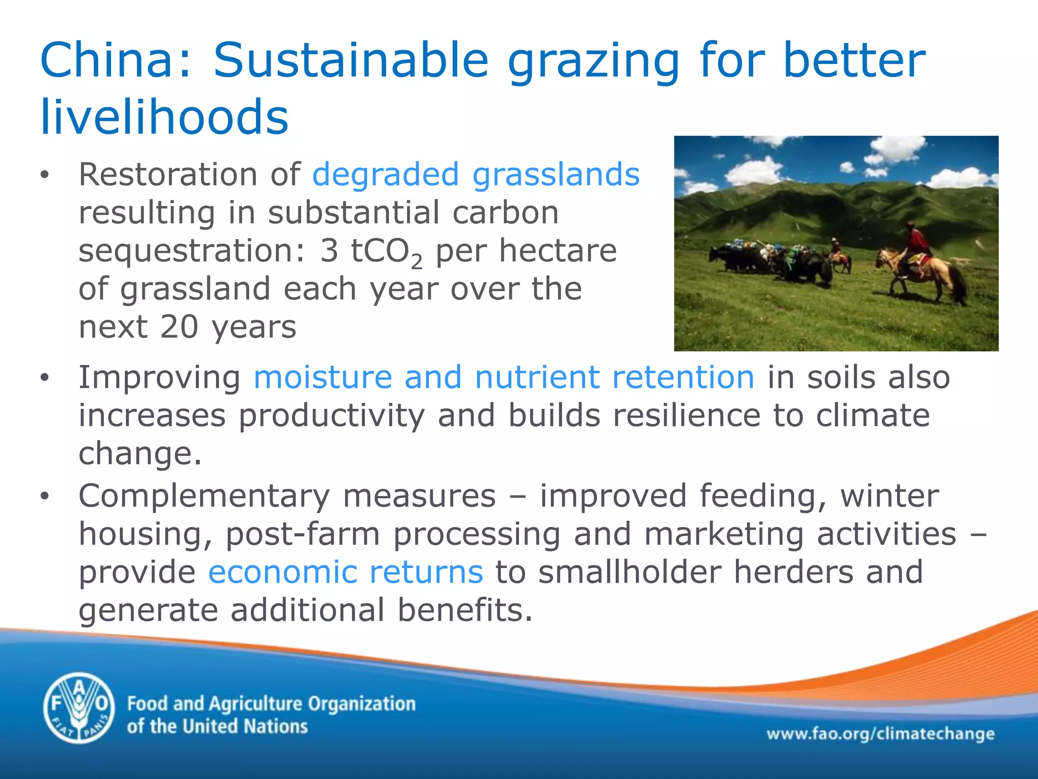 China: Sustainable grazing for better
livelihoods
• Improving moisture and nutrient retention in soils also
increases productivity and builds resilience to climate
change.
• Complementary measures – improved feeding, winter
housing, post-farm processing and marketing activities –
provide economic returns to smallholder herders and
generate additional benefits.
• Restoration of degraded grasslands
resulting in substantial carbon
sequestration: 3 tCO2 per hectare
of grassland each year over the
next 20 years
 