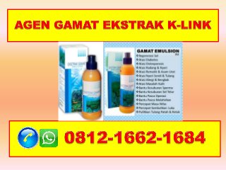 K-Link Gamat Extract, HP/WA 0812-1662-1684(T-Sel)