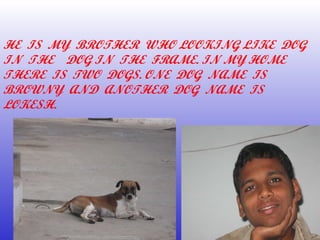 HE  IS  MY  BROTHER  WHO LOOKING LIKE  DOG IN  THE  DOG IN  THE  FRAME. IN MY HOME THERE  IS  TWO  DOGS. ONE  DOG  NAME  IS  BROWNY  AND  ANOTHER  DOG  NAME  IS  LOKESH. 