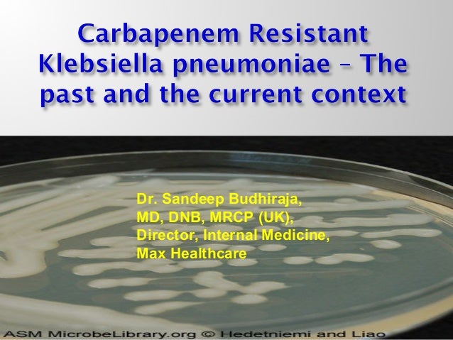 What is the best treatment for Klebsiella?