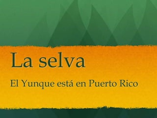 La selva
El Yunque está en Puerto Rico
 