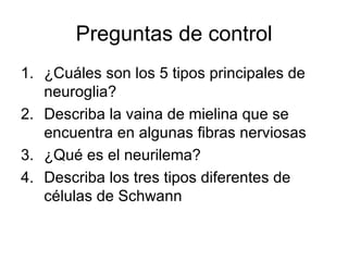 Preguntas de control ¿Cuáles son los 5 tipos principales de neuroglia? Describa la vaina de mielina que se encuentra en algunas fibras nerviosas ¿Qué es el neurilema? Describa los tres tipos diferentes de células de Schwann 