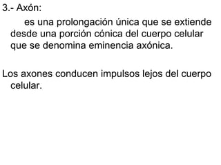 3.- Axón:  es una prolongación única que se extiende desde una porción cónica del cuerpo celular que se denomina eminencia axónica.  Los axones conducen impulsos lejos del cuerpo celular.  