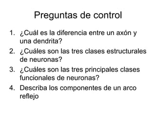 Preguntas de control ¿Cuál es la diferencia entre un axón y una dendrita? ¿Cuáles son las tres clases estructurales de neuronas? ¿Cuáles son las tres principales clases funcionales de neuronas? Describa los componentes de un arco reflejo 