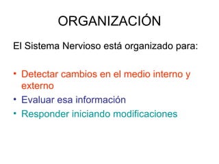 ORGANIZACIÓN El Sistema Nervioso está organizado para: Detectar cambios en el medio interno y externo Evaluar esa información   Responder iniciando modificaciones 
