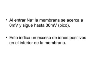 Al entrar Na +  la membrana se acerca a 0mV y sigue hasta 30mV (pico).  Esto indica un exceso de iones positivos en el interior de la membrana. 