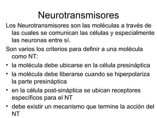 Neurotransmisores Los Neurotransmisores son las moléculas a través de las cuales se comunican las células y especialmente las neuronas entre sí.  Son varios los criterios para definir a una molécula como NT:  la molécula debe ubicarse en la célula presináptica  la molécula debe liberarse cuando se hiperpolariza la parte presináptica  en la célula post-sináptica se ubican receptores específicos para el NT  debe existir un mecanismo que termine la acción del NT  