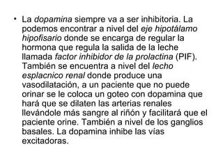 La  dopamina  siempre va a ser inhibitoria. La podemos encontrar a nivel del  eje hipotálamo hipofisario  donde se encarga de regular la hormona que regula la salida de la leche llamada  factor inhibidor de la prolactina  (PIF). También se encuentra a nivel del  lecho esplacnico renal  donde produce una vasodilatación, a un paciente que no puede orinar se le coloca un goteo con dopamina que hará que se dilaten las arterias renales llevándole más sangre al riñón y facilitará que el paciente orine. También a nivel de los ganglios basales. La dopamina inhibe las vías excitadoras.  