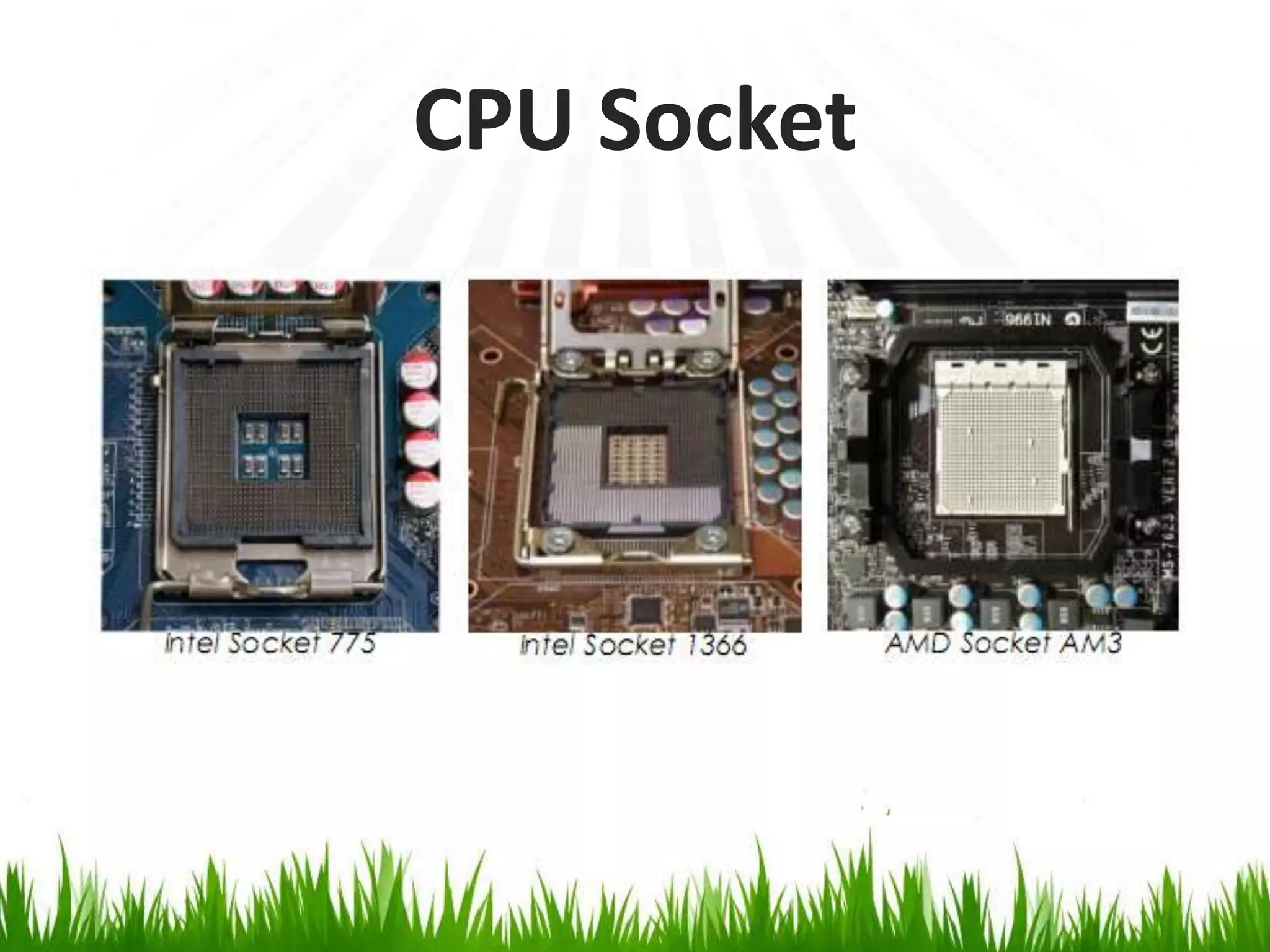 CPU Socket