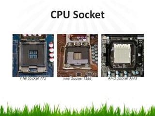 CPU Socket