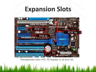 Expansion Slots