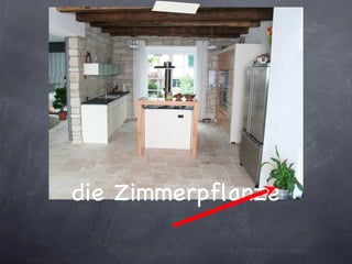 die Zimmerpflanze 