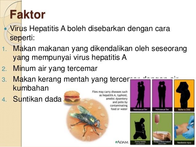 Hepatitis A - Komunikasi Kesihatan